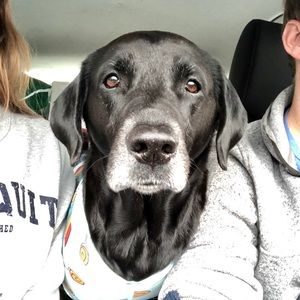 Meet your Posher, Aimee